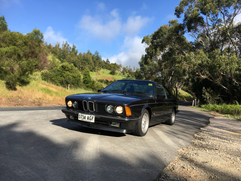 Illustration for article titled BMW 635CSi. Adelaide Hills. Springtime. Goodtime.